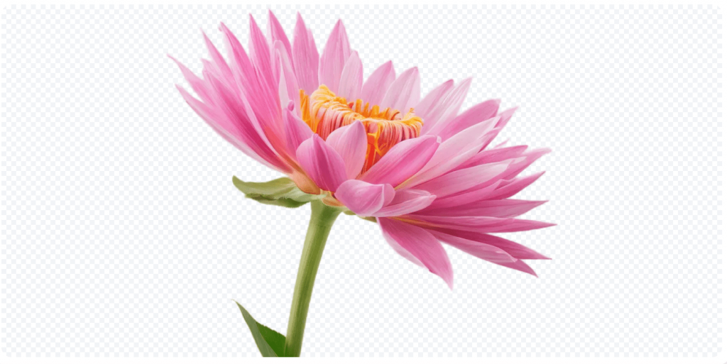 图片[3]-Ai发丝级精准抠图，无需PS，纯在线免费使用专业级图像处理，AI智能抠图实在是太方便了！