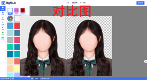 免费Ai抠图，换背景，一键抠图网站，从此证件照抠图不求人-一坨资源网